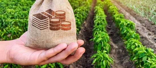 En 2017, les agriculteurs ont gagné, en moyenne, 1 650 € par mois