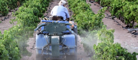 Glyphosate : les interdictions et les restrictions d’usage précisées