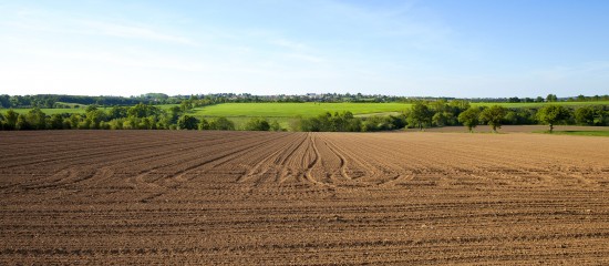 Le marché des terres agricoles en 2020