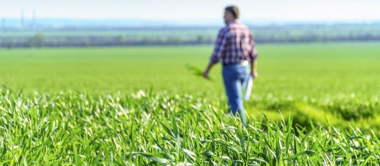 Bail rural : le bailleur doit être informé du départ de l’un des colocataires !