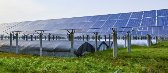 Vente d’une entreprise agricole dotée de panneaux photovoltaïques : quelle exonération fiscale ?