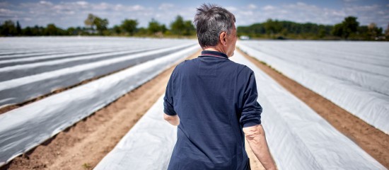 Non-salariés agricoles : vers une meilleure pension de retraite de base ?