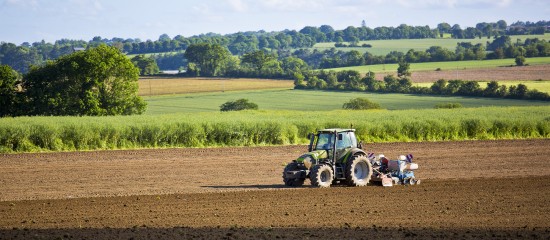 Les prix des terres agricoles à la hausse en 2025
