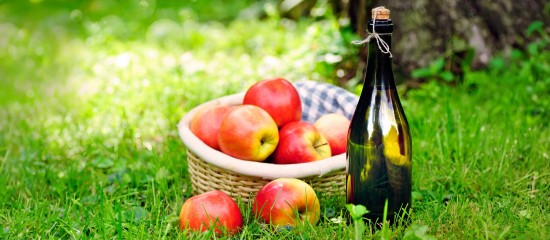 Arboriculture : aide à la plantation de pommiers à cidre