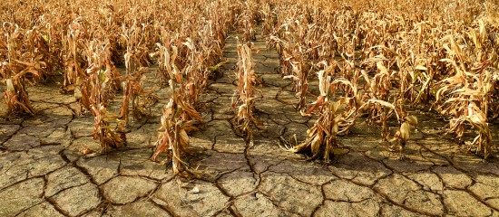 Déduction pour épargne de précaution : les plafonds 2026